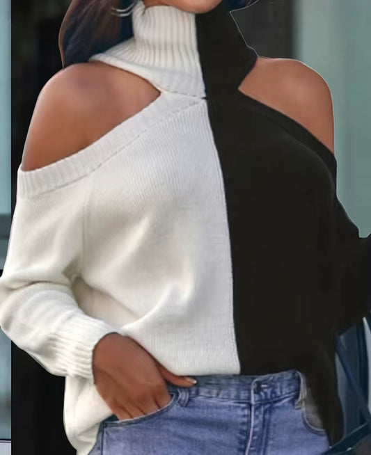Two tone Turtle Neck Pullover