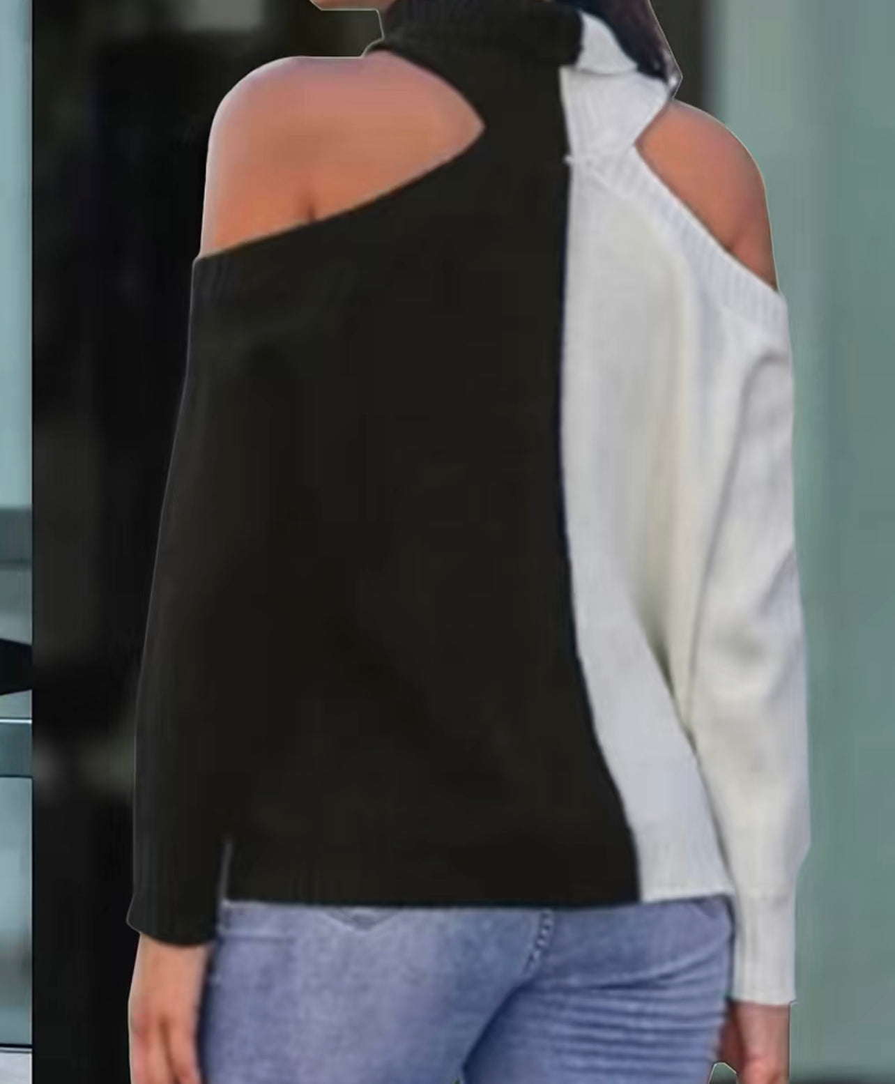 Two tone Turtle Neck Pullover
